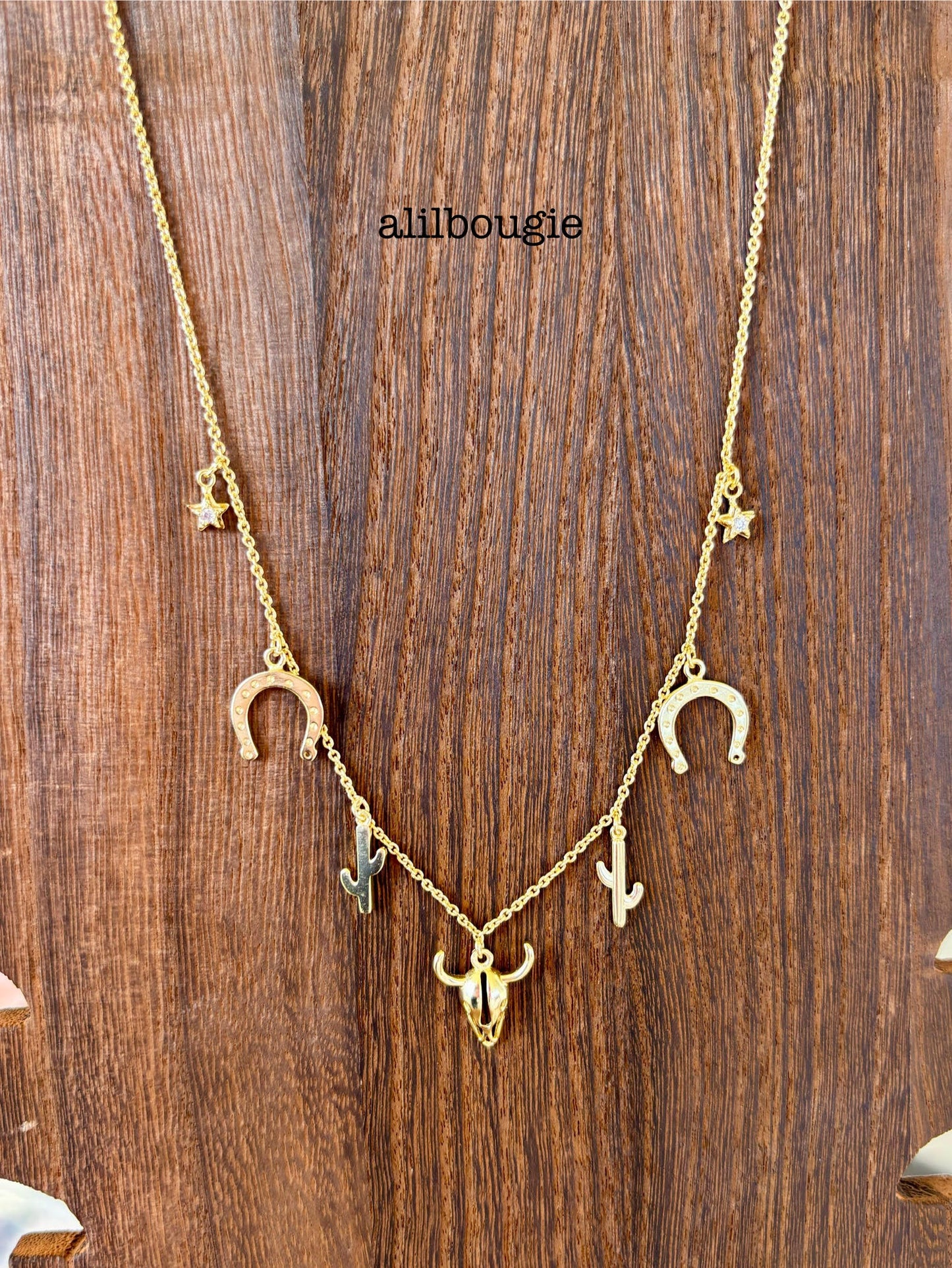 Gold Plated Western Charm Necklace